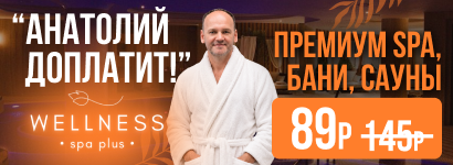 Wellness Spa Plus