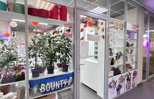 Розы от 2,10р, букеты из ромашковых хризантем, кустовых роз от 44р в "ЦветОК"