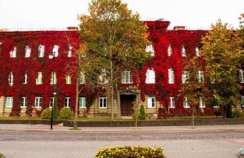 Туры "Выходные в Гродно", "Новый год в Гродно 2027", "Крафтовый тур в Гродно" от 215р/2дня от "Travellab"